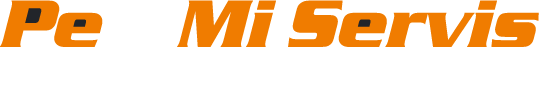 Pemi servis